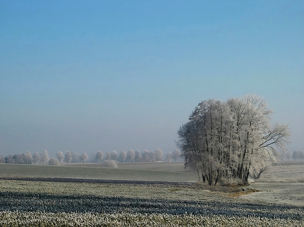 Allee-IMG_6755
